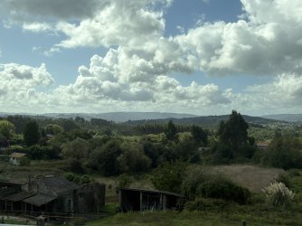 IMG_3898.jpg