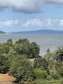 IMG_3924.jpg
