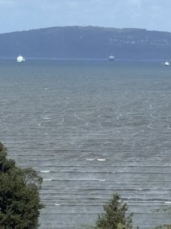 IMG_3925.jpg