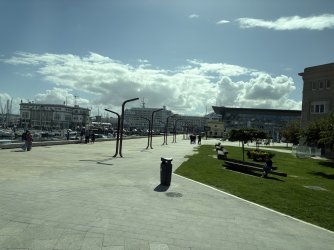 IMG_3954.jpg