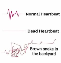 1760959738548.jpeg