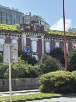 IMG_3979.jpg