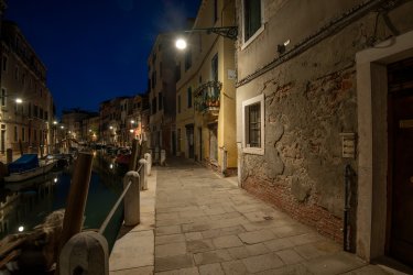 D85_4194.jpg