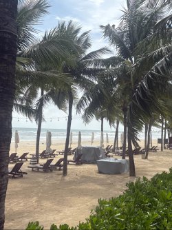 IMG_2248.jpeg