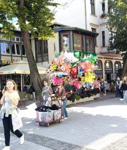s23.jpg