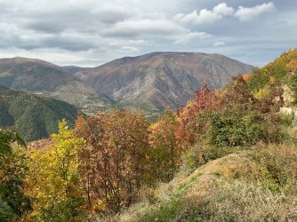 IMG_5407.jpeg