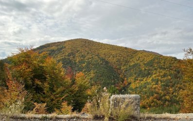 IMG_5405.jpeg