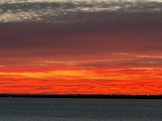 IMG_4091.jpg