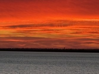 IMG_4100.jpg