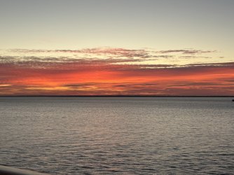 IMG_4101.jpg