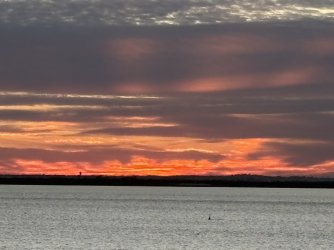 IMG_4105.jpg