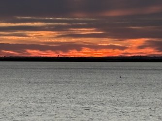 IMG_4106.jpg