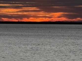 IMG_4107.jpg