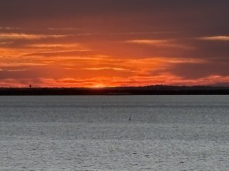 IMG_4110.jpg
