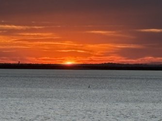 IMG_4111.jpg