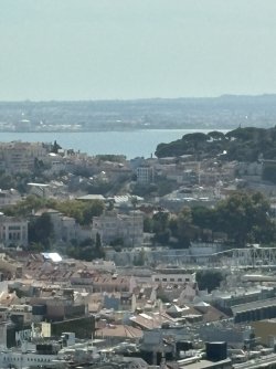 IMG_4123.jpg