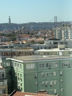 IMG_4127.jpg