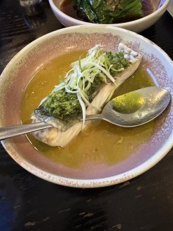 IMG_4064.jpeg