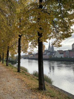 IMG_5147.jpeg