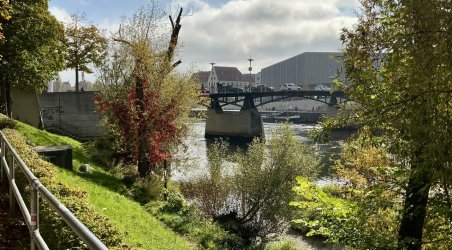 IMG_5152.jpeg