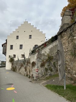 IMG_5218.jpeg