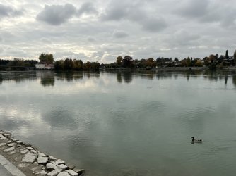 IMG_5212.jpeg