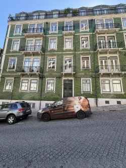 IMG_4172.jpg