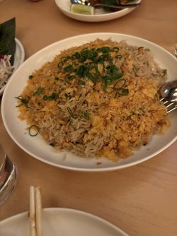 IMG_5057.jpeg IMG_5057.jpeg