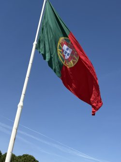IMG_4216.jpg