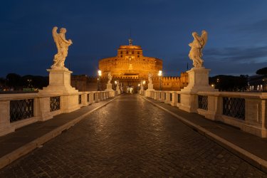 D85_6834.jpg