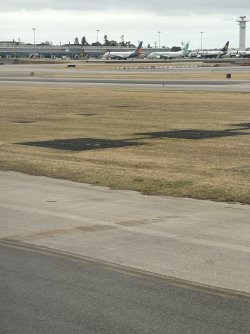 IMG_4287.jpg IMG_4287.jpg