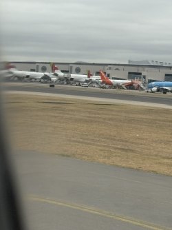 IMG_4291.jpg IMG_4291.jpg