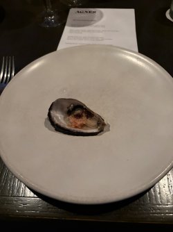 IMG_4089.jpeg