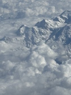 IMG_4351.jpg IMG_4351.jpg