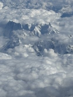 IMG_4352.jpg IMG_4352.jpg