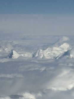 IMG_4358.jpg IMG_4358.jpg