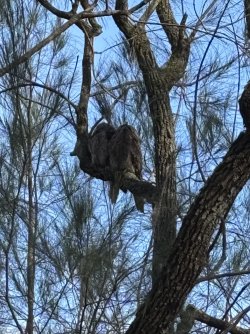 IMG_9303.jpeg
