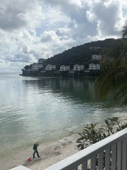 IMG_0993.jpeg