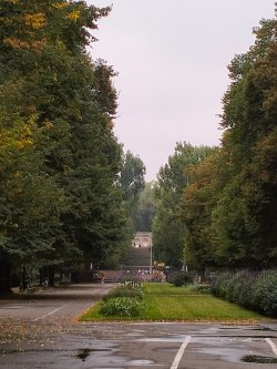 s31.jpg