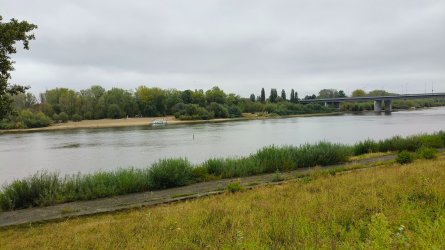s19.jpg