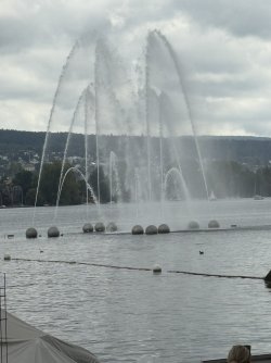 IMG_4411.jpg IMG_4411.jpg