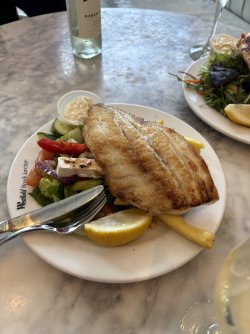 IMG_5068.jpeg