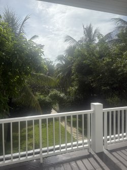 IMG_1106.jpeg