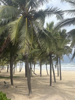 IMG_1114.jpeg