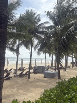 IMG_1115.jpeg