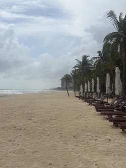 IMG_1116.jpeg
