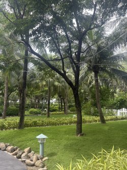IMG_1119.jpeg