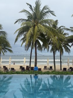 IMG_1127.jpeg