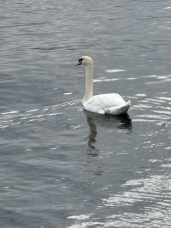 IMG_4455.jpg IMG_4455.jpg