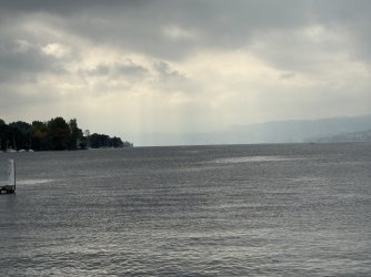 IMG_4456.jpg IMG_4456.jpg